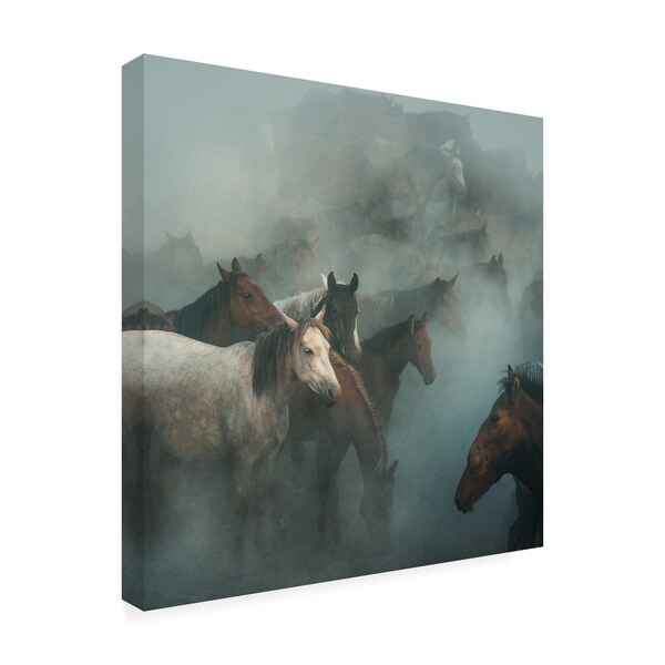 Huseyin Taskin 'Lost Horses' Canvas Art,18x18